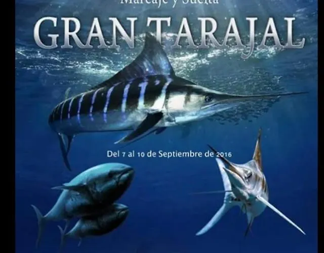 Berlin Lovely Apartment Gran Tarajal